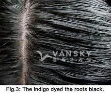 240822105249_Hair-Dyed with indigo-s.jpg